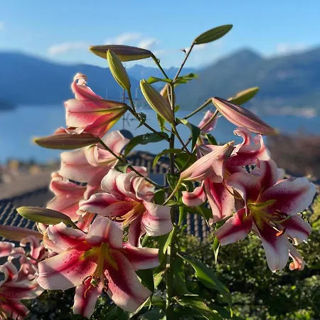 Апартаменты My Sweet Balcony Germignaga