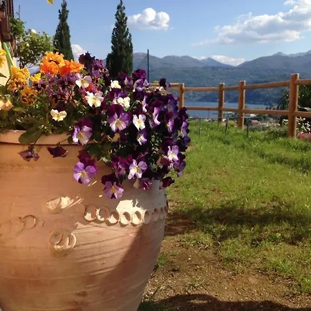 My Sweet Balcony Апартаменты *