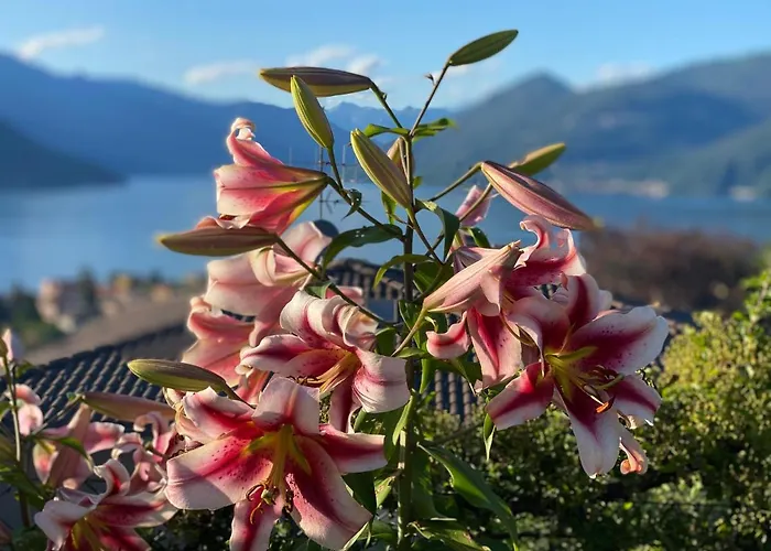 아파트 My Sweet Balcony Germignaga